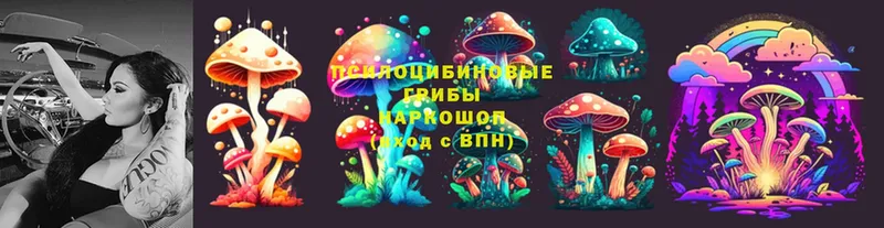 даркнет официальный сайт  Бирюч  Галлюциногенные грибы Cubensis 